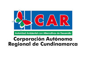 c-car